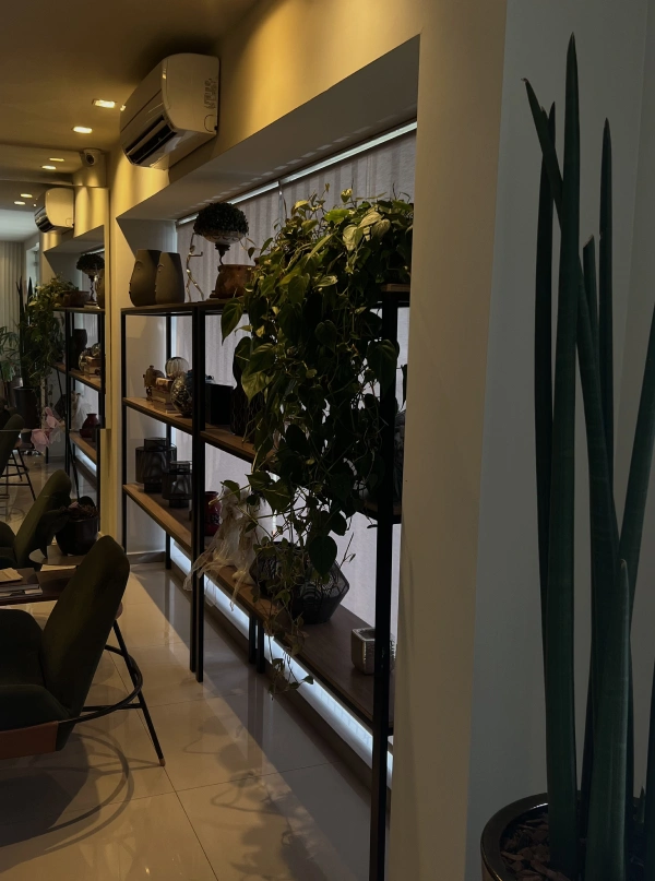 Clinica-05-(Compressify.io)